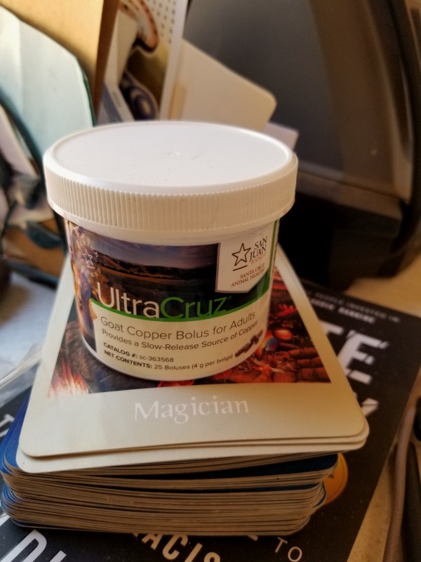 20200727_160328 20200727_160328