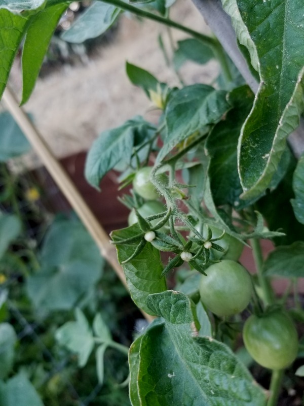 20200701_184917 20200701_184917