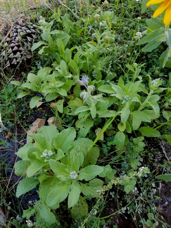 20200701_195511 20200701_195511