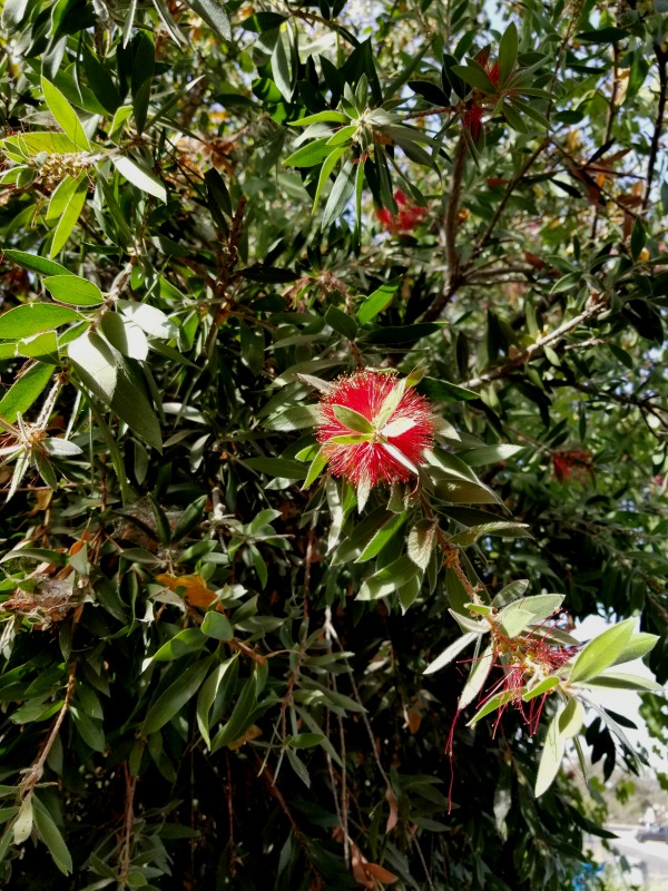 20200927_103916 20200927_103916