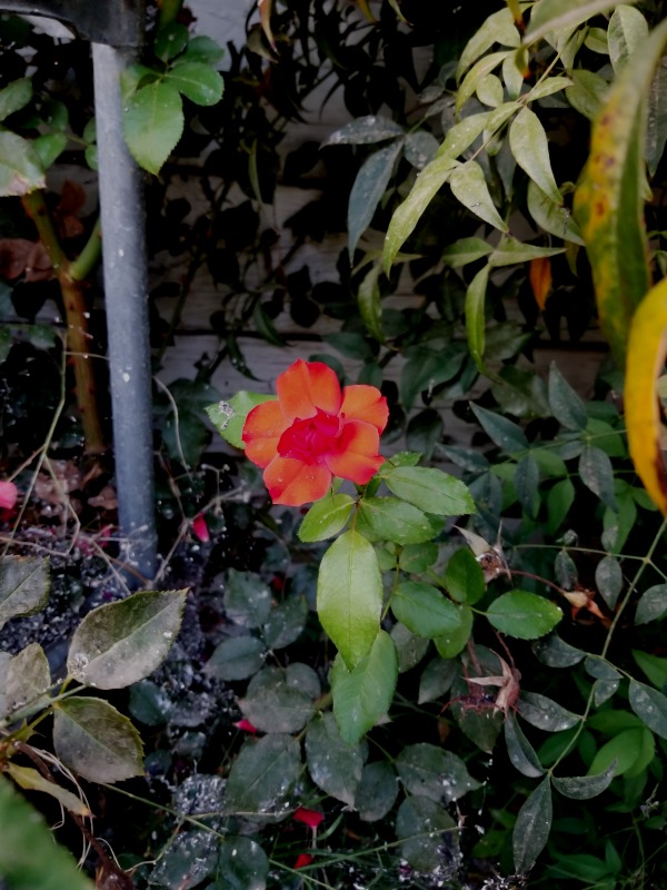 20200921_184111 20200921_184111