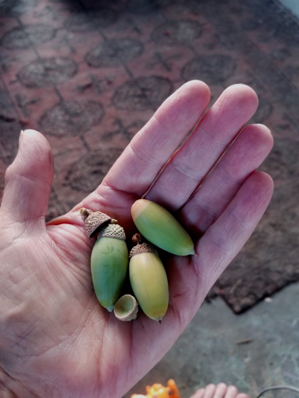 20200921_183607 20200921_183607