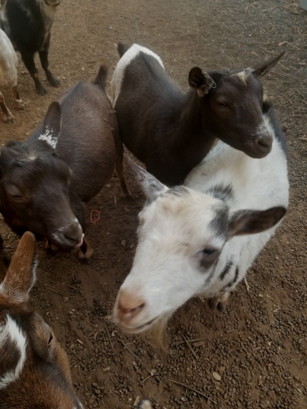 20201018_180806 20201018_180806