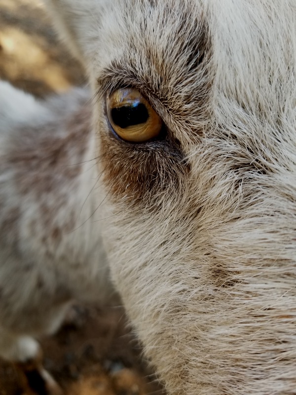 20201019_160947 20201019_160947