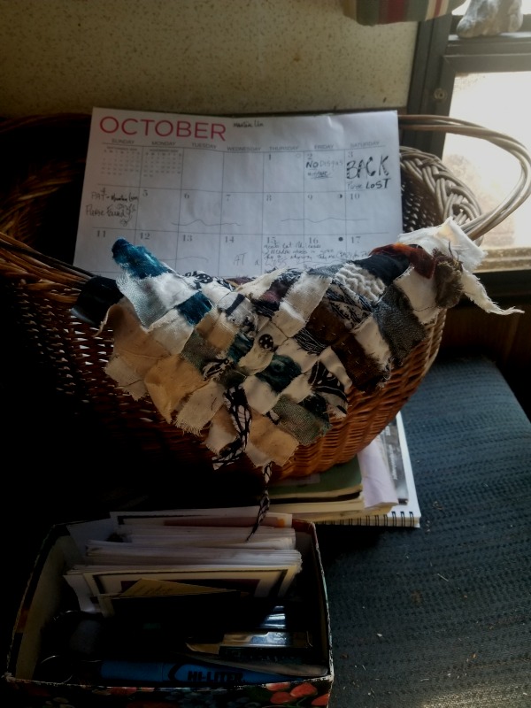 20201018_084307 20201018_084307