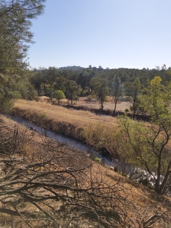 20201104_130535 20201104_130535