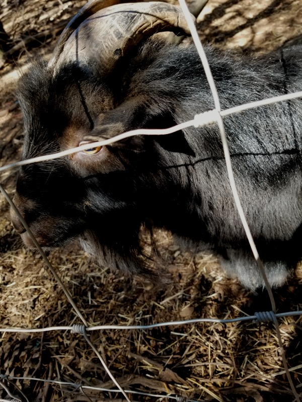 "20201104_130 20201104_130321