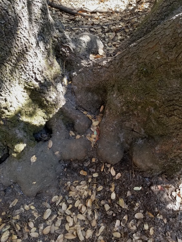 20201104_125607 20201104_125607