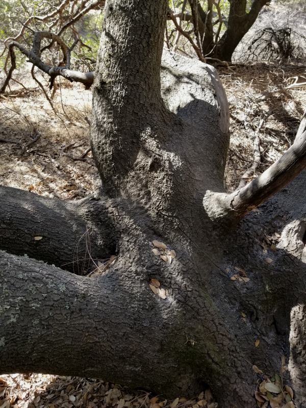 20201104_125321 20201104_125321