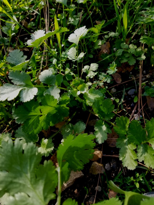 20201229_143943 20201229_143943