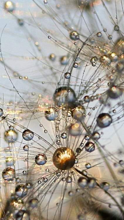 FB_IMG_1616779720536