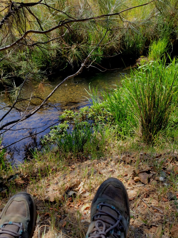 20210423_114959 20210423_114959