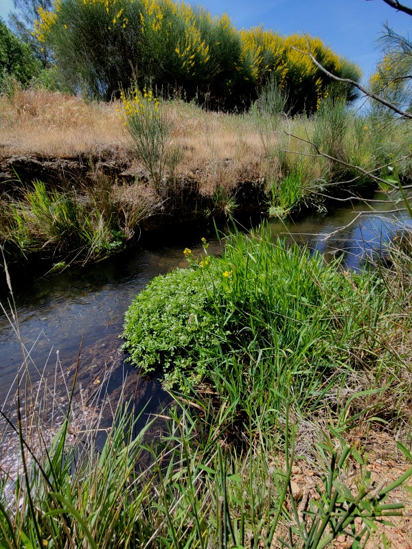 20210423_114743 20210423_114743