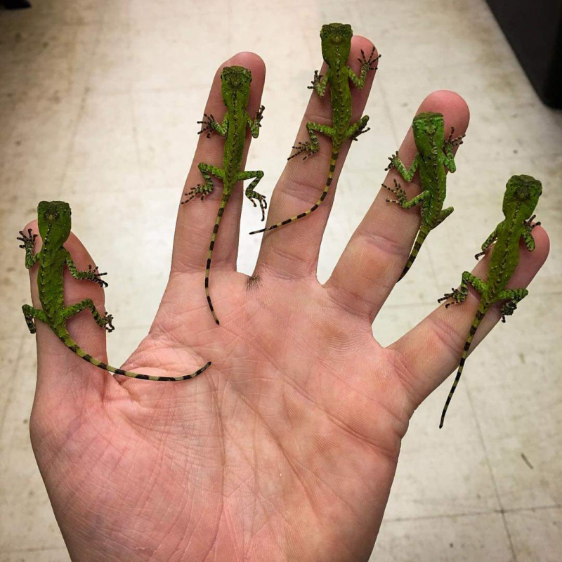 FB_IMG_1618793589399