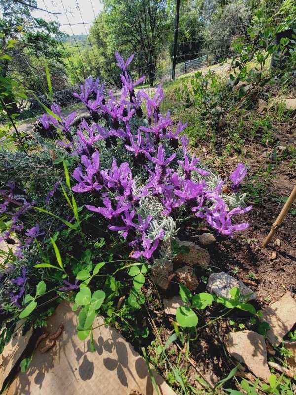 20210414_144516 20210414_144516