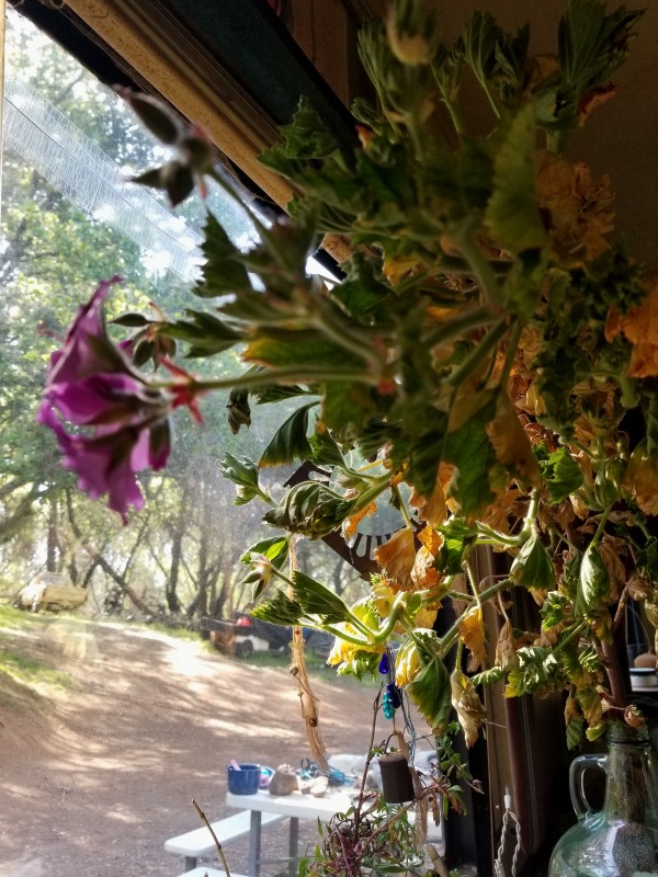 20210406_102302 20210406_102302