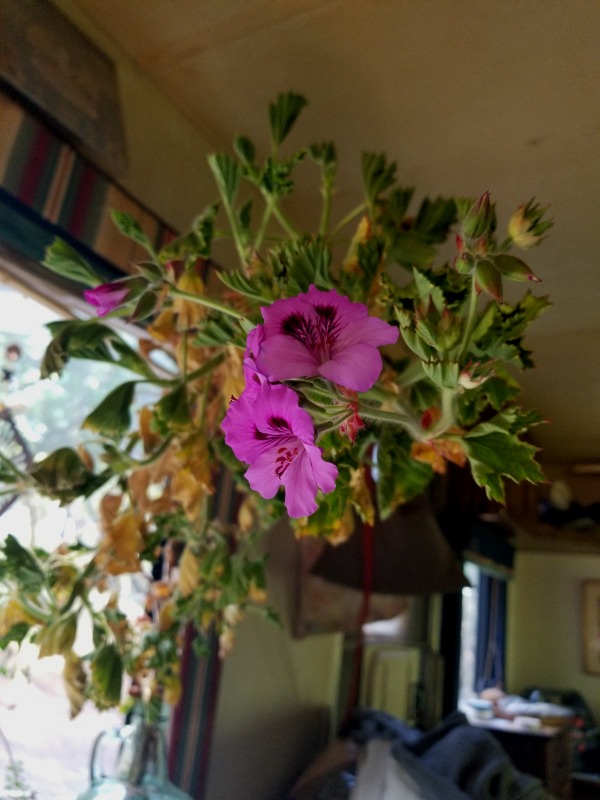 20210406_102342 20210406_102342