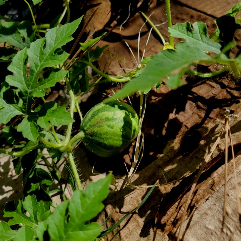 20210713_164729
