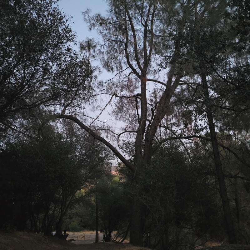 20210921_192559