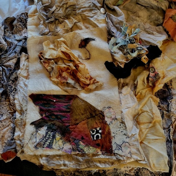 20220221_121542 20220221_121542