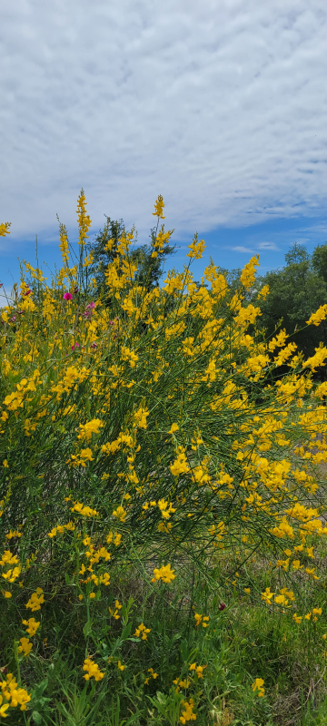 20220512_133514