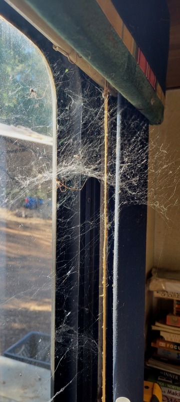 20220625_091229 20220625_091229