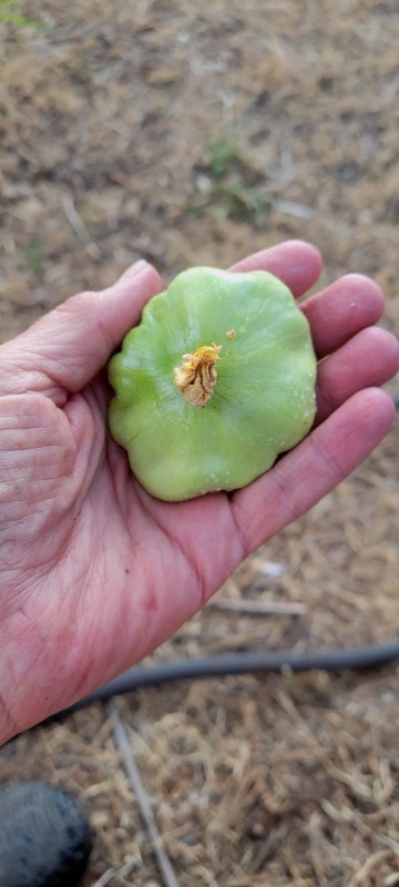 20220622_194650 20220622_194650