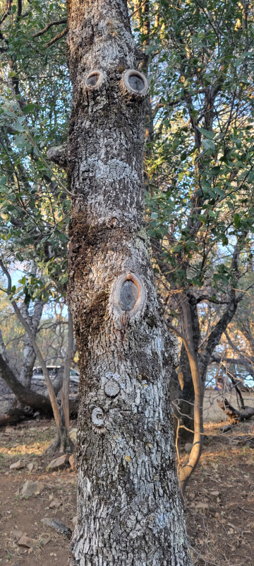 20220620_195256 20220620_195256