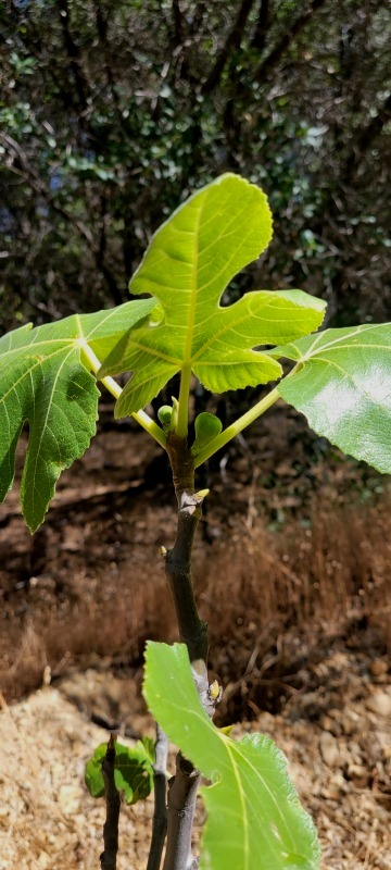 20220609_104722 20220609_104722