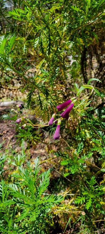 20220609_115908 20220609_115908