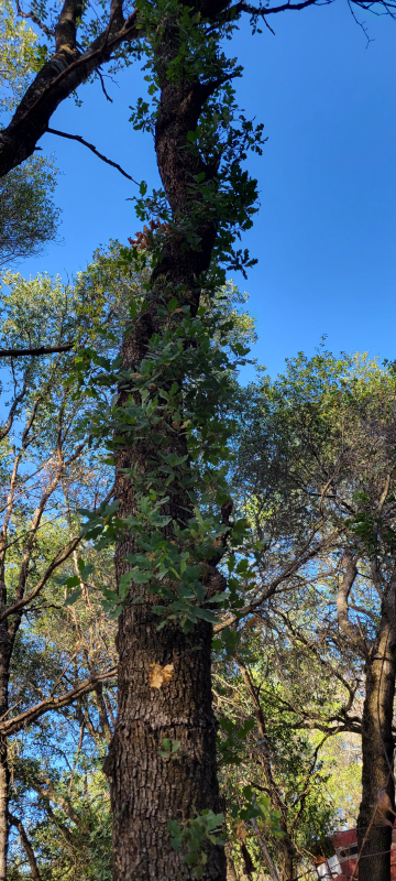 20220607_183754 20220607_183754