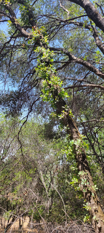 20220607_115045 20220607_115045