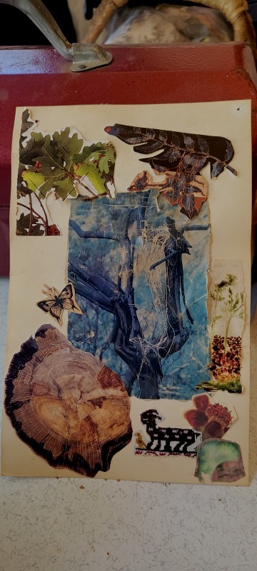 20220702_135452 20220702_135452