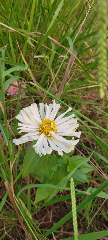 20220911_191032 20220911_191032