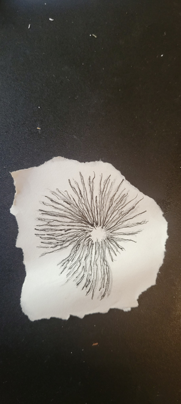20221013_160239