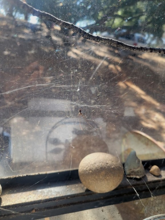 20230623_093529 20230623_093529