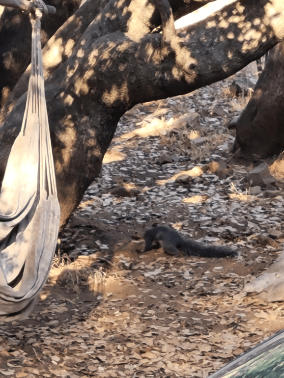 20230615_191007 20230615_191007