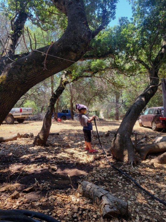 20230701_131428 20230701_131428