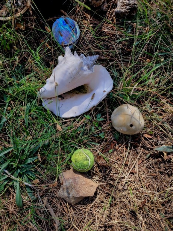 20230829_153625 20230829_153625