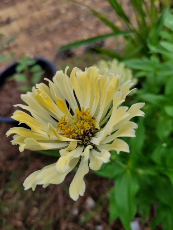 20230814_191419 20230814_191419