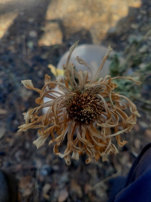 20231017_155028 20231017_155028