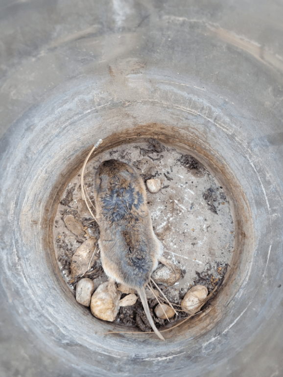 20231109_162328 20231109_162328