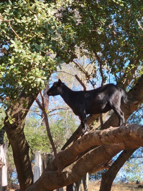 20231018_152853 20231018_152853