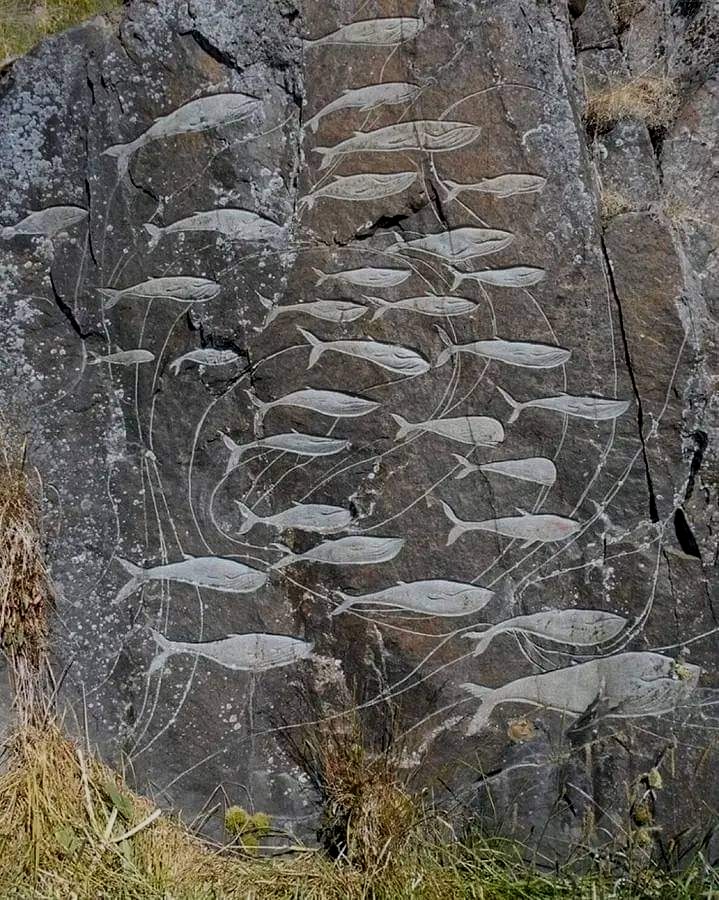 FB_IMG_1702573558314