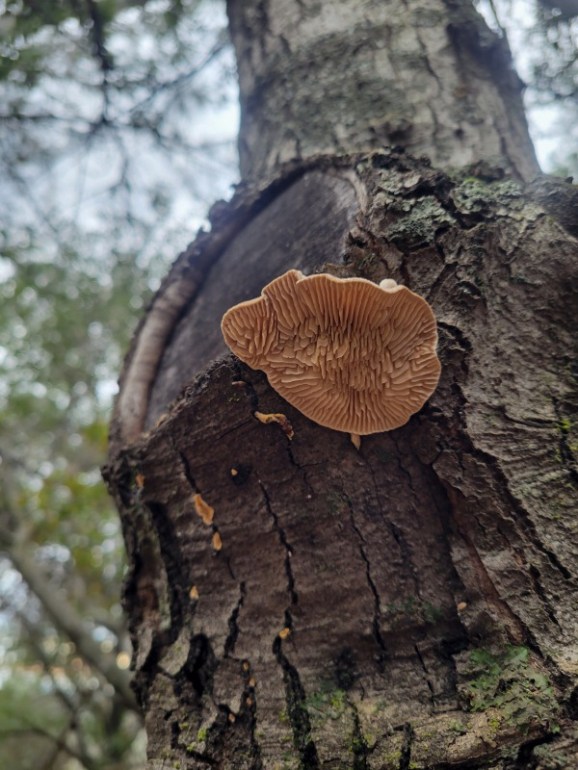 20240127_144151 20240127_144151