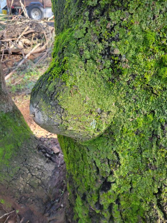 20240209_103517 20240209_103517