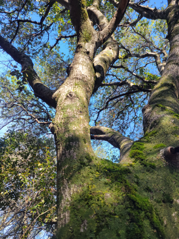 20240209_103438 20240209_103438