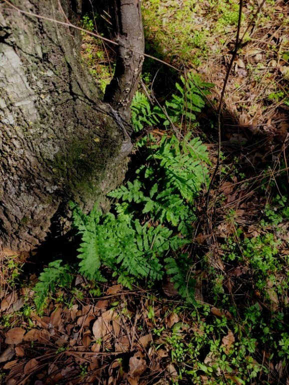 20240130_123940 20240130_123940