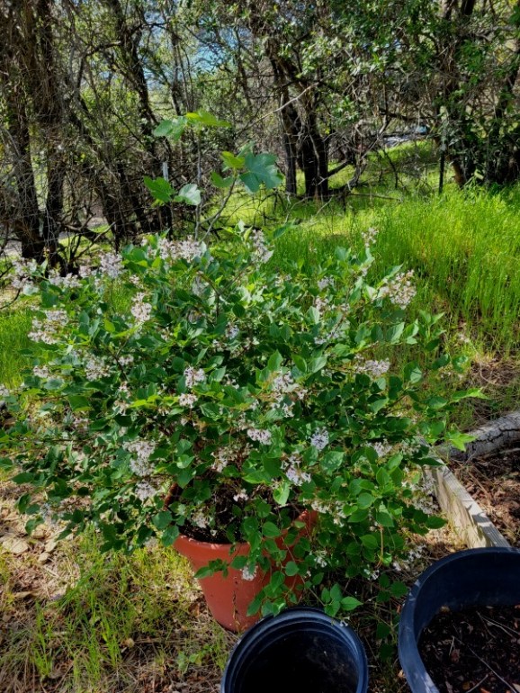 20240428_160657 20240428_160657