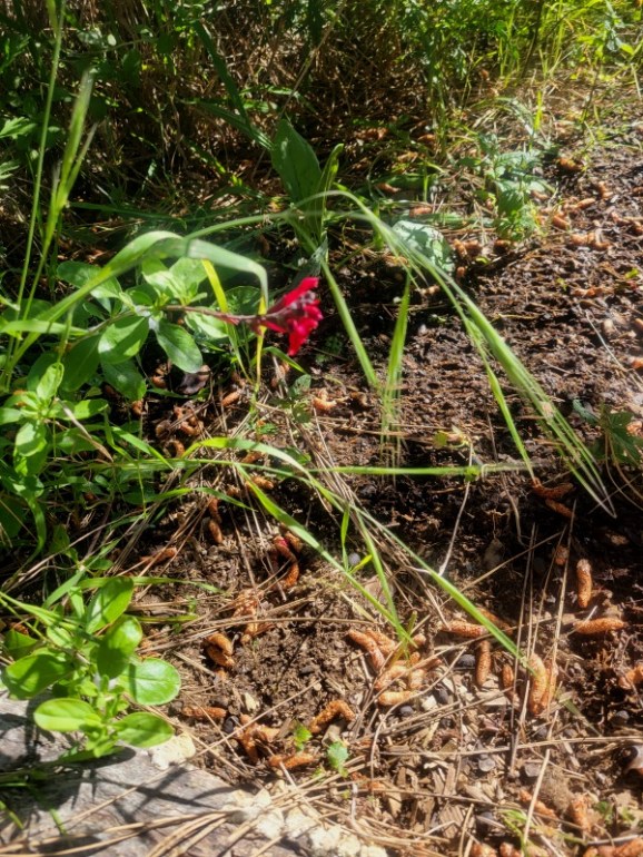 20240429_163840 20240429_163840